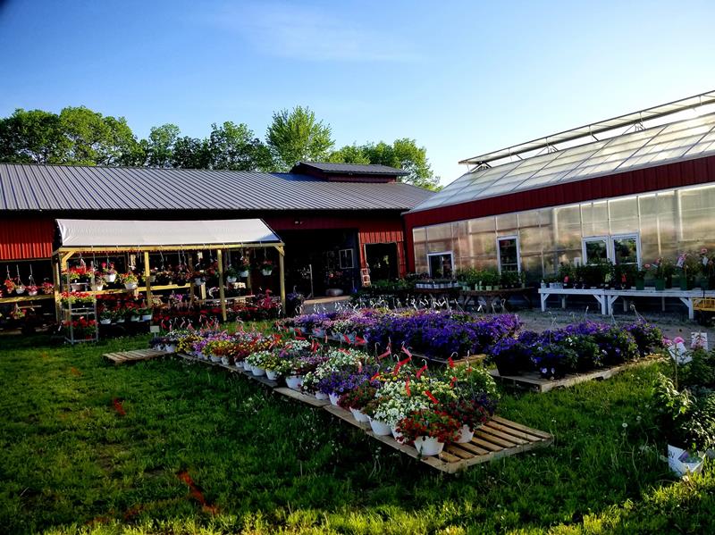 Bronkberry Farms & Greenhouse Plainfield, IL